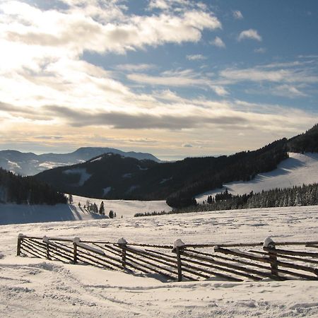 Heidi'S Schlummerkiste Am Fuss Der Teichalm Breitenau am Hochlantsch Zewnętrze zdjęcie