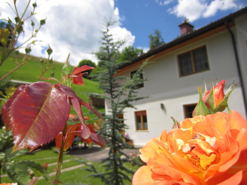 Heidi'S Schlummerkiste Am Fuss Der Teichalm Breitenau am Hochlantsch Zewnętrze zdjęcie