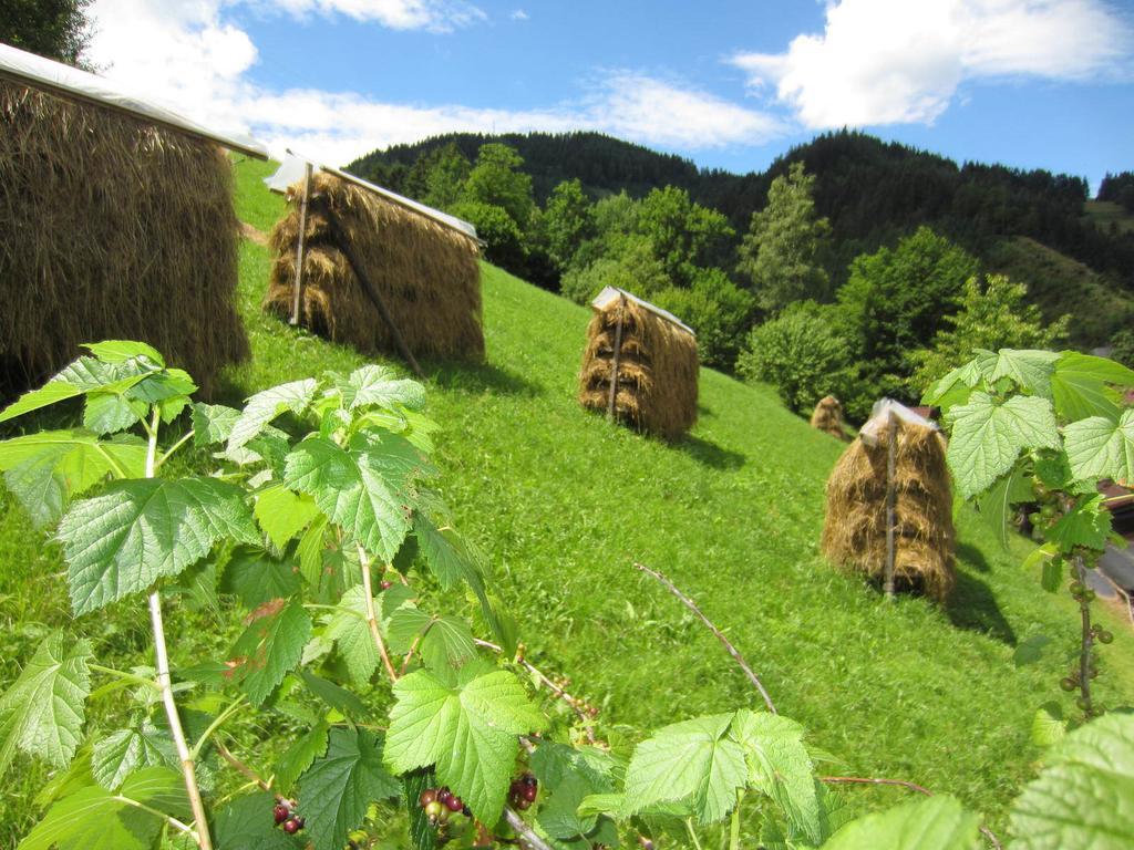 Heidi'S Schlummerkiste Am Fuss Der Teichalm Breitenau am Hochlantsch Zewnętrze zdjęcie